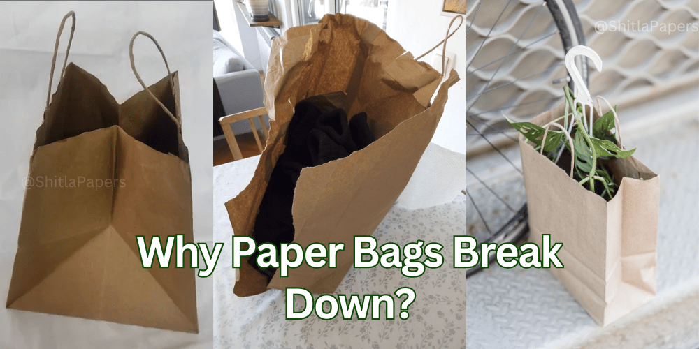 Why Do Paper Bags Break Down? Biodegradability of Paper Bags